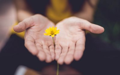 Exceptional Service Depends on Caring Approach