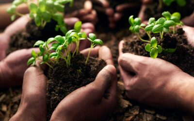 Embrace Change, Take Action, and Thrive