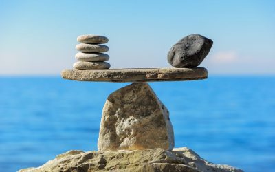Seek Balance and Harmony to Thrive in 2025